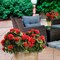 2-Pack 22'' Artificial Geranium Topiary Balls – Outdoor Faux Shrub with Ground Spikes, Potted or Hanging, Easy to Shape, Garden, Porch & Home Décor (Red and Green)